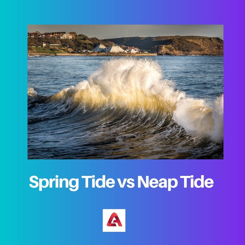 Spring Tide vs Neap Tide