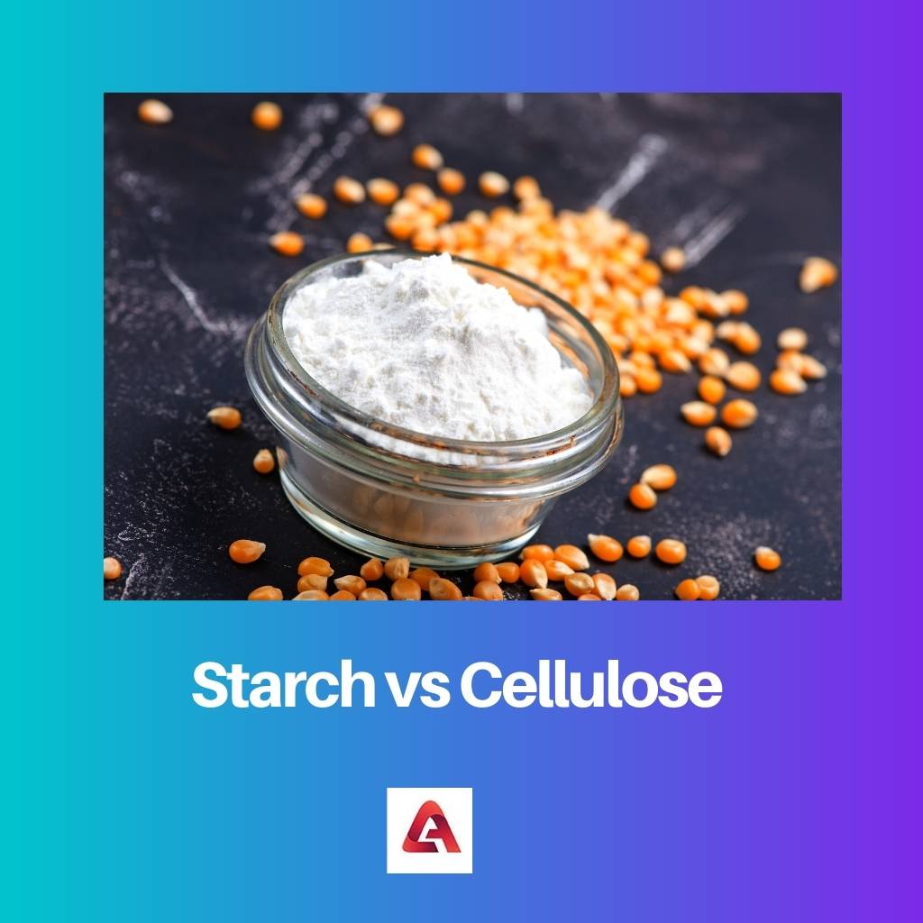 Starch vs Cellulose