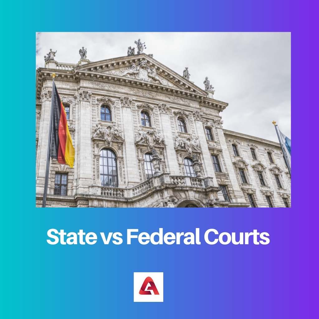 State vs Federal Courts