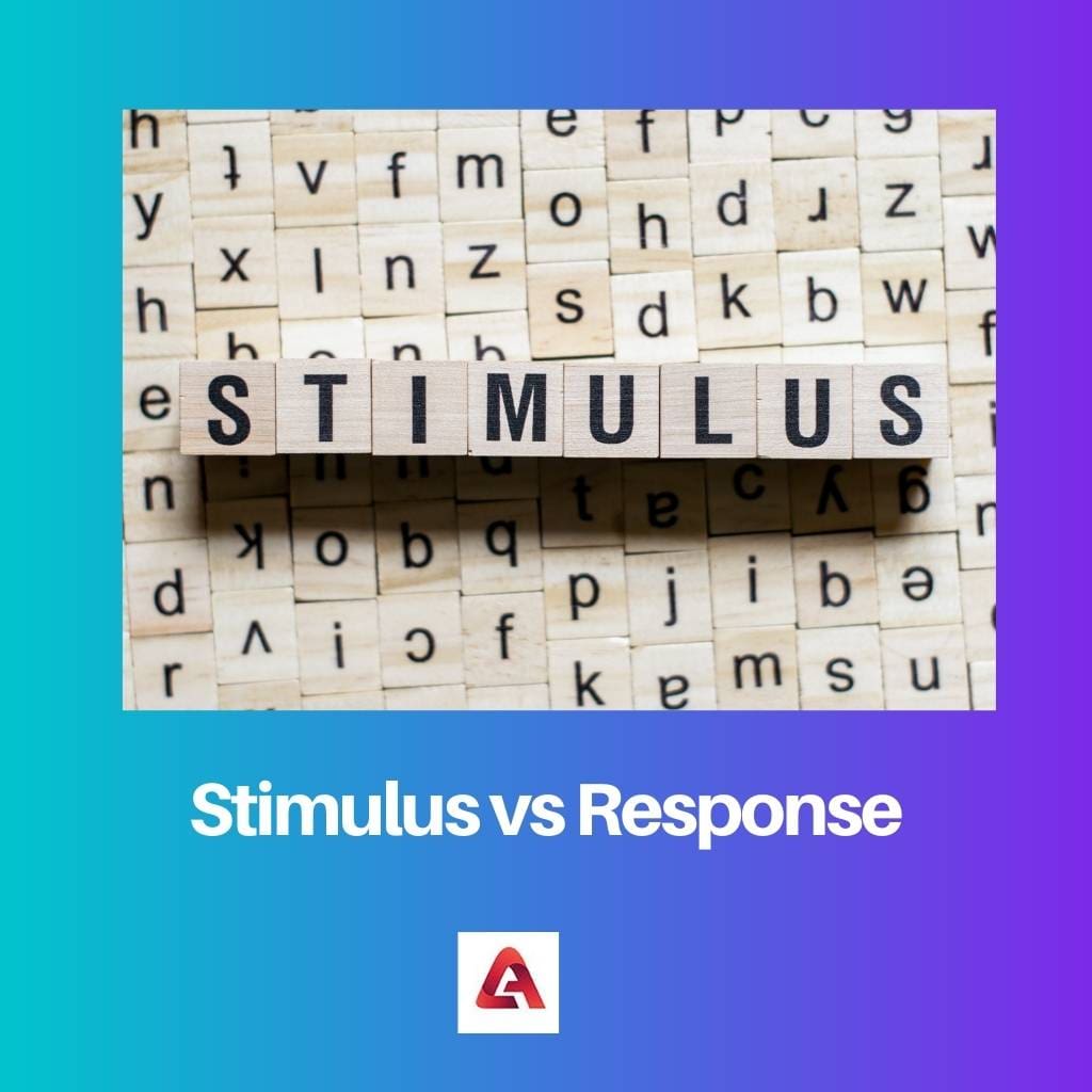 Stimulus vs Response