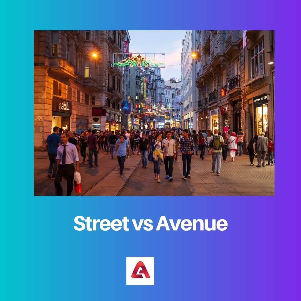 Street vs Avenue