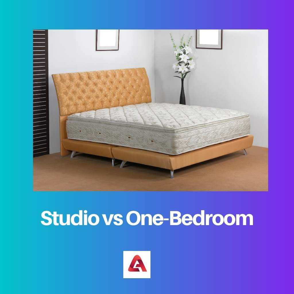 Studio vs One Bedroom