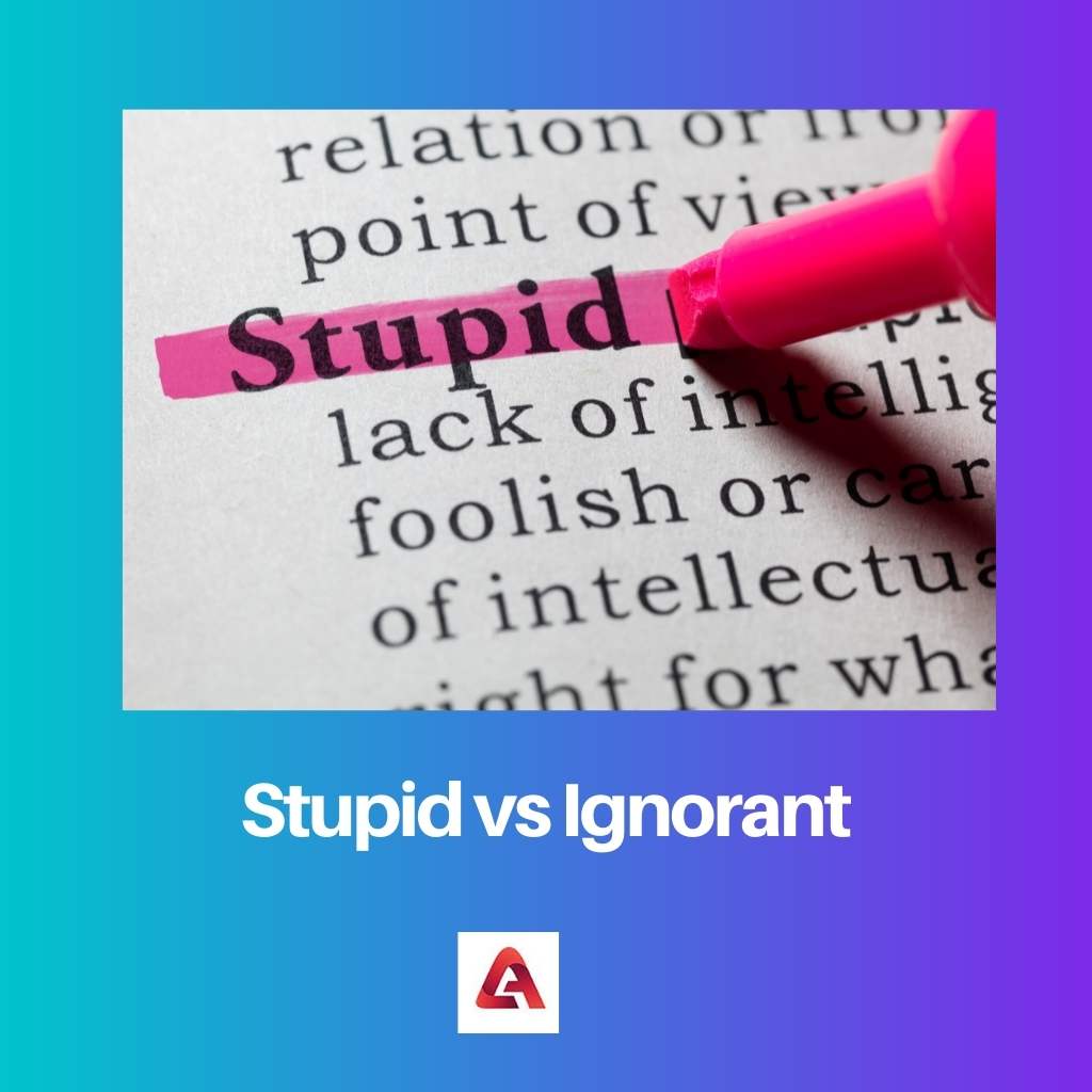 Stupid vs Ignorant