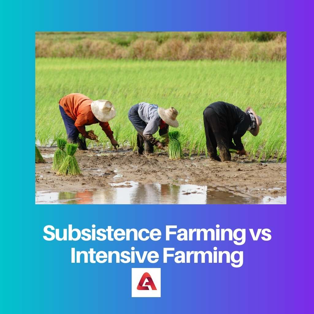 Subsistence Farming vs Intensive Farming