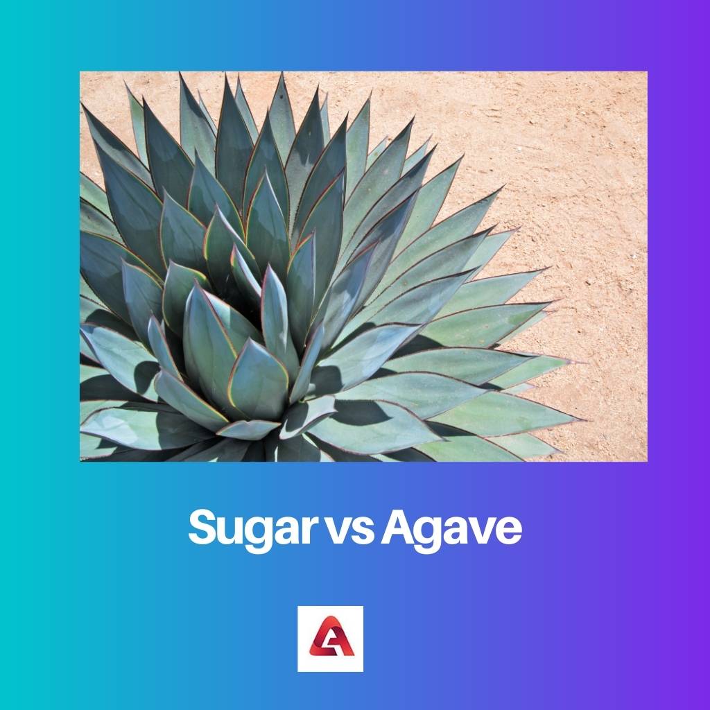 Sugar vs Agave