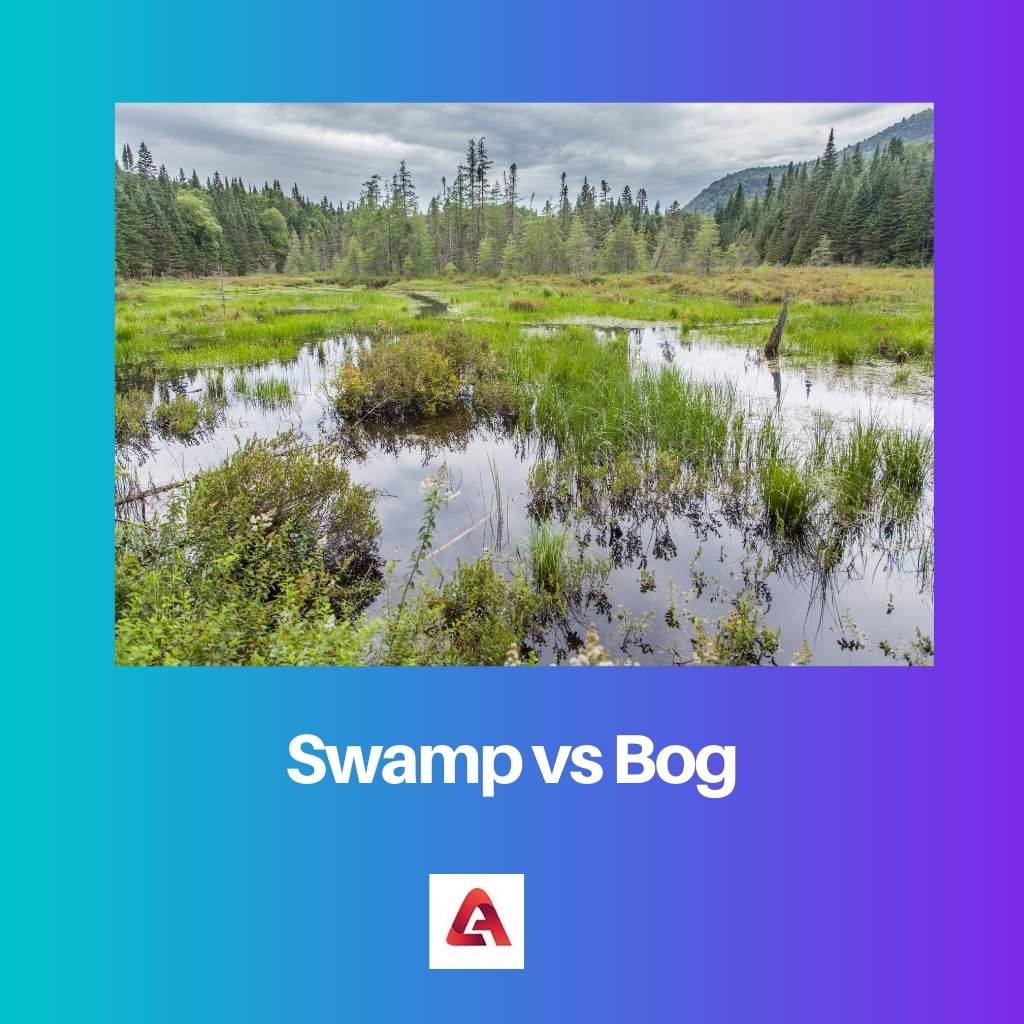 Swamp vs Bog