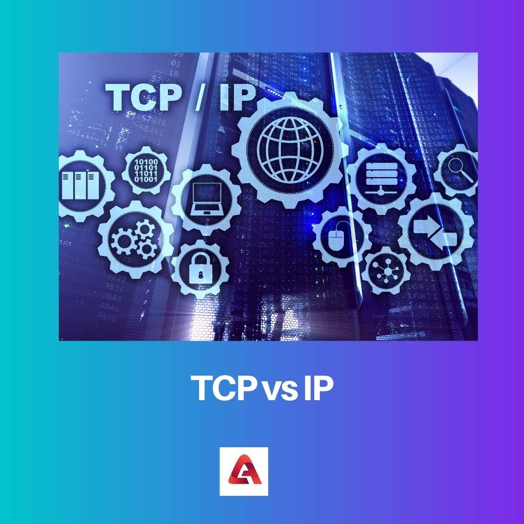 TCP vs IP