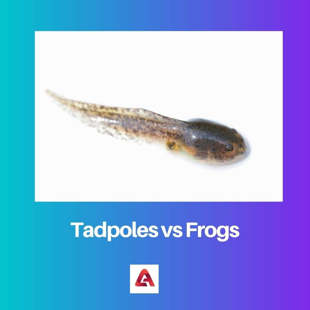 Tadpoles vs Frogs