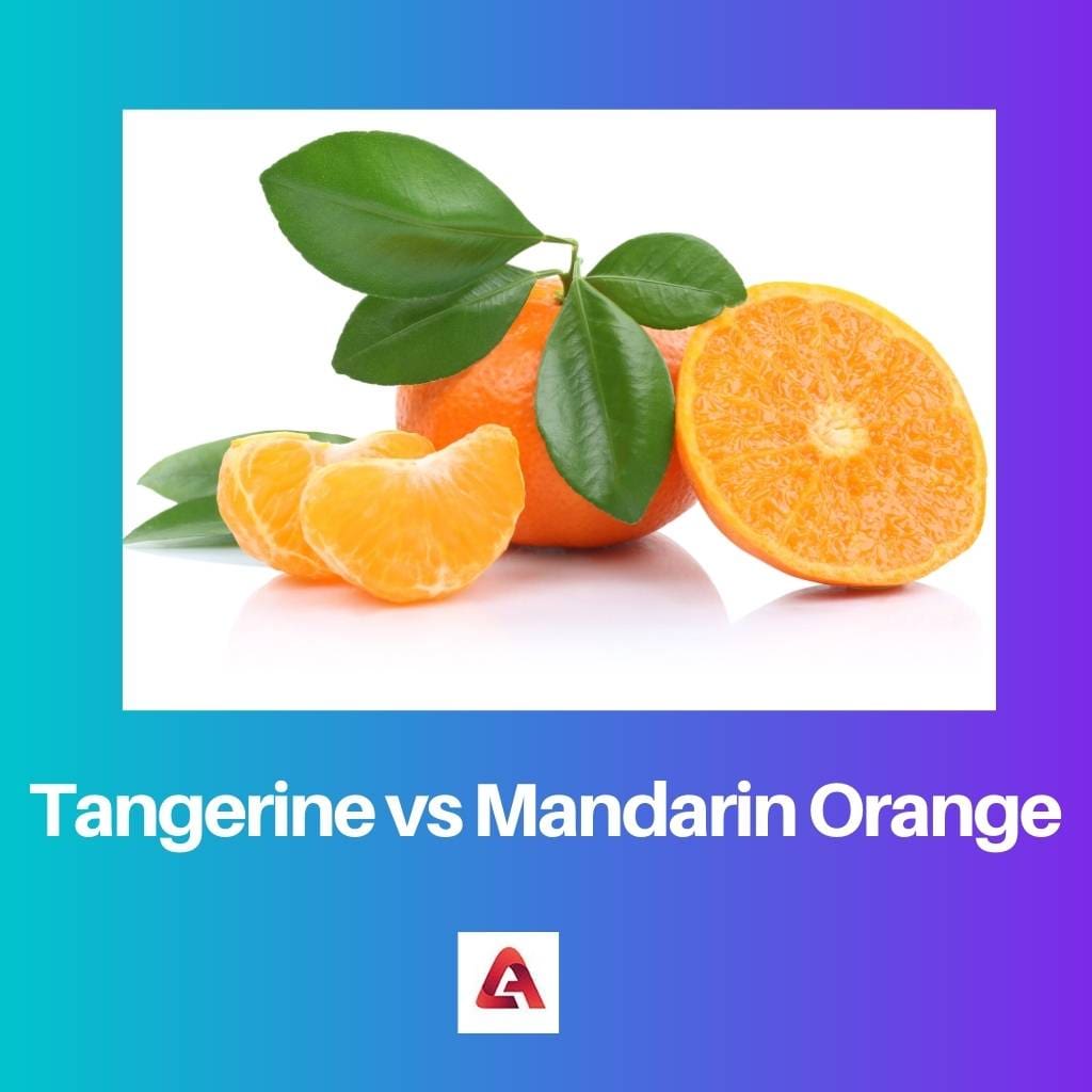 Tangerine vs Mandarin Orange