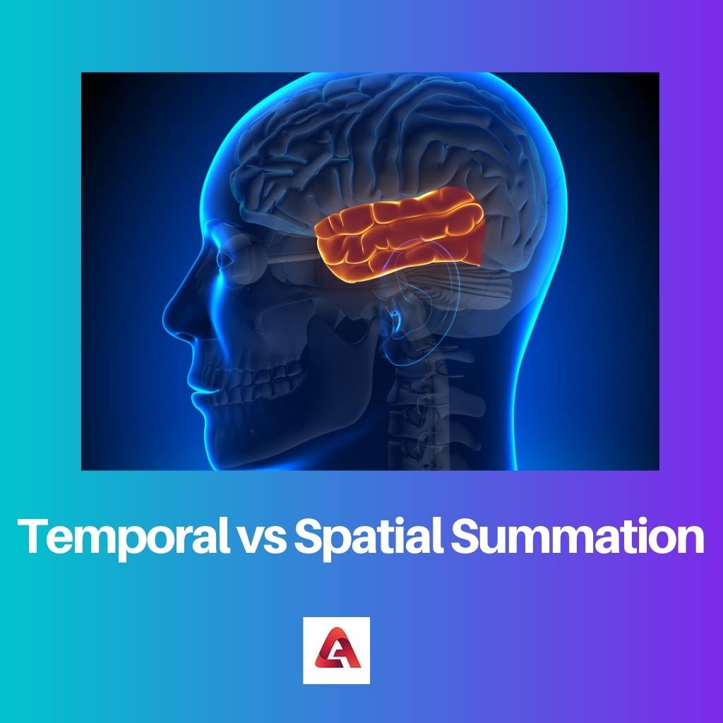 Temporal vs Spatial Summation