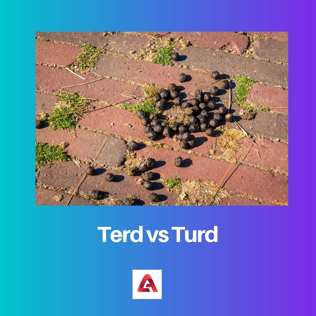 Terd vs Turd