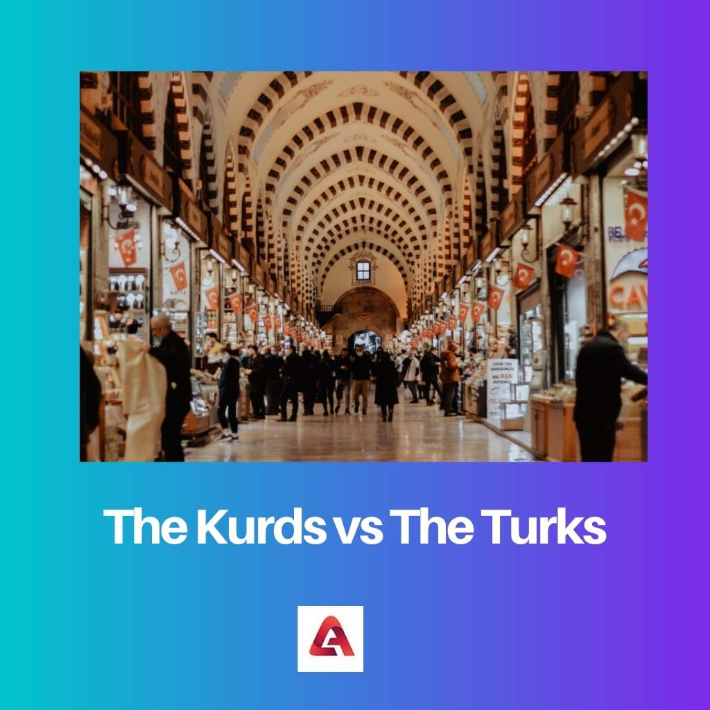 The Kurds vs The Turks