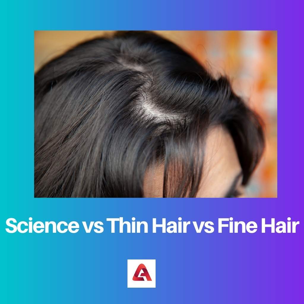 Thin Hair vs Fine Hair