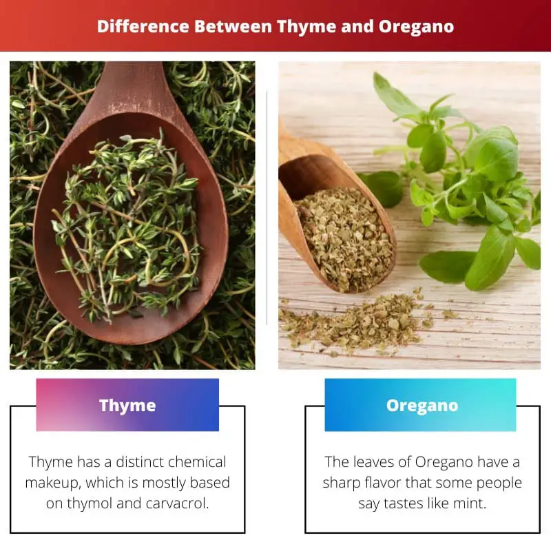 Thyme vs Oregano – Difference Between Thyme and Oregano