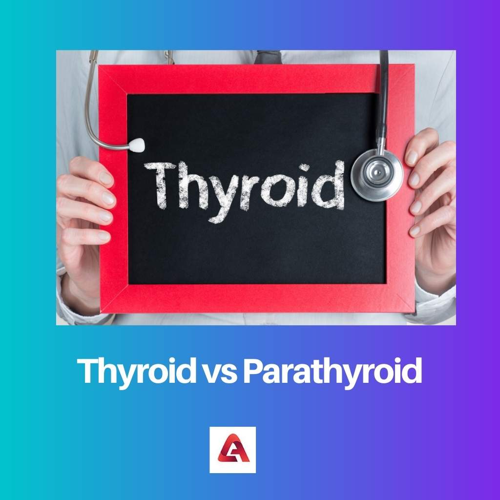 Thyroid vs Parathyroid