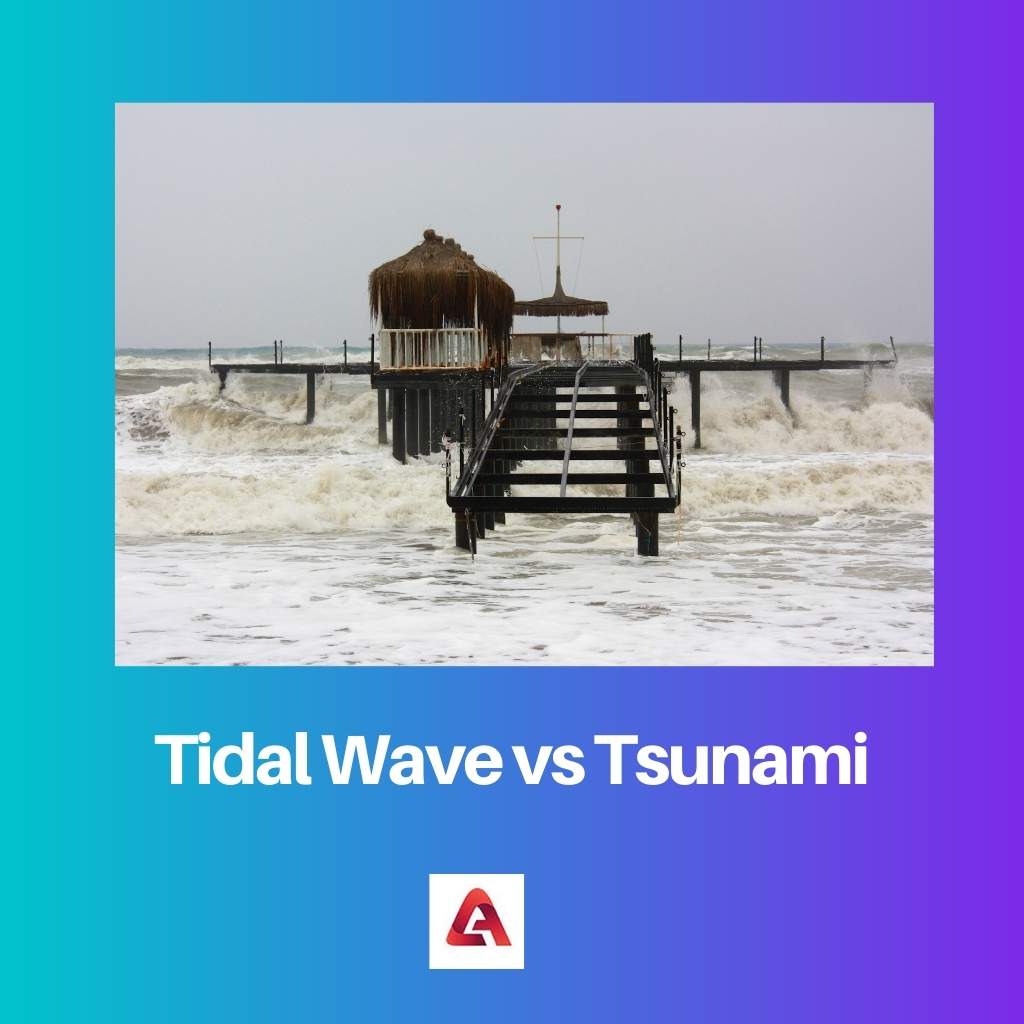 Tidal Wave vs Tsunami