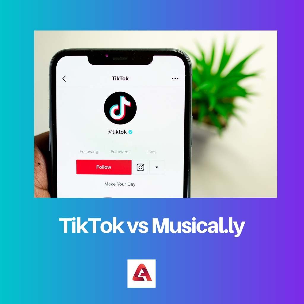 TikTok vs Musical.ly