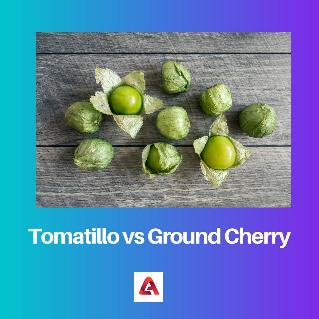 Tomatillo vs Ground Cherry