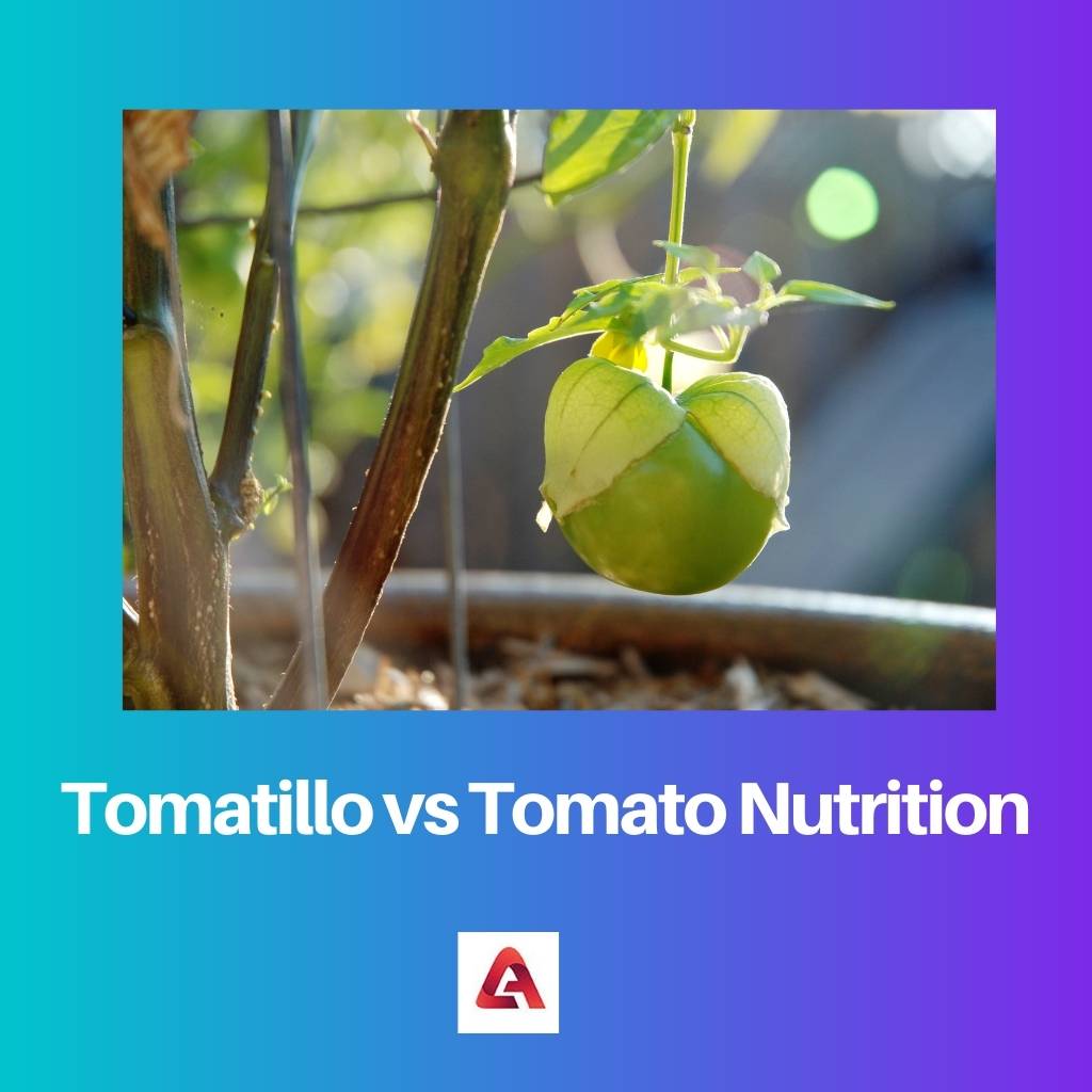Tomatillo vs Tomato Nutrition