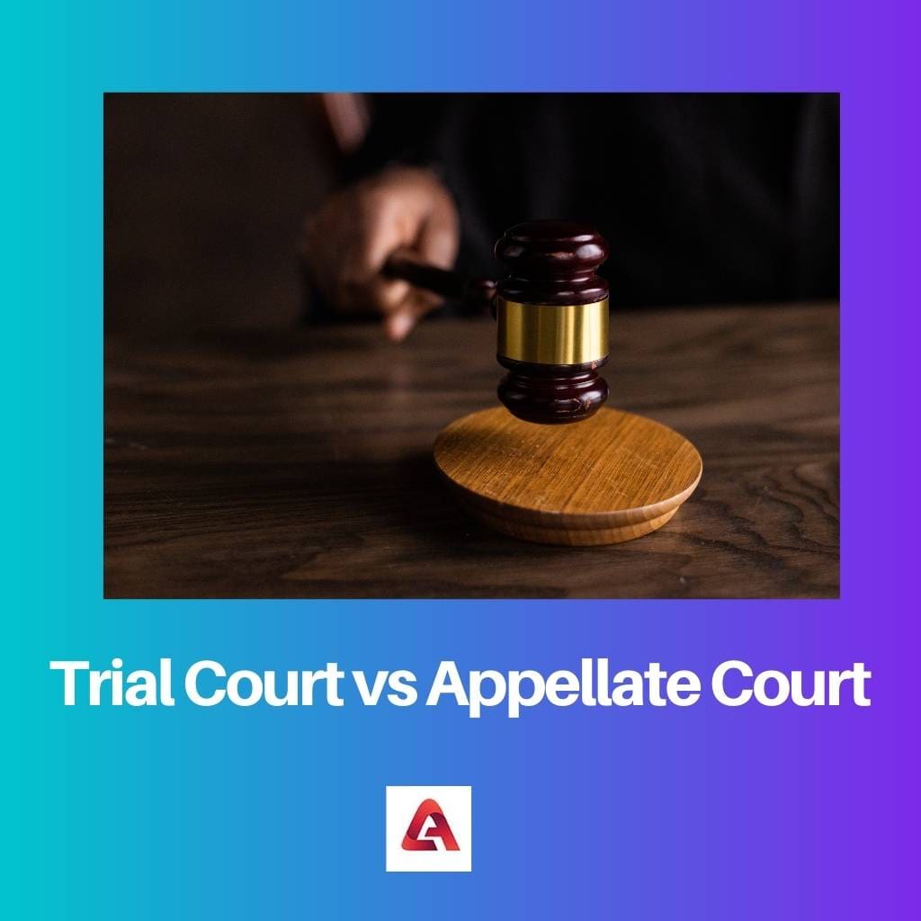 Trial Court vs Appellate Court