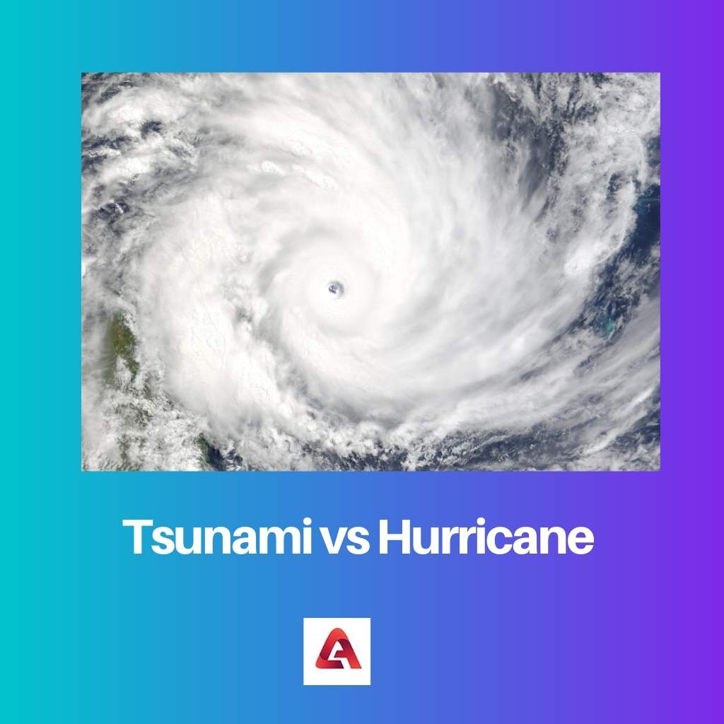 Tsunami vs Hurricane