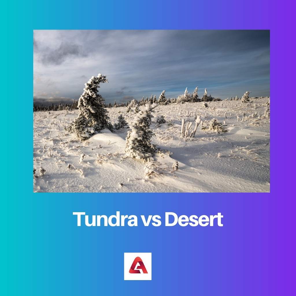 Tundra vs Desert