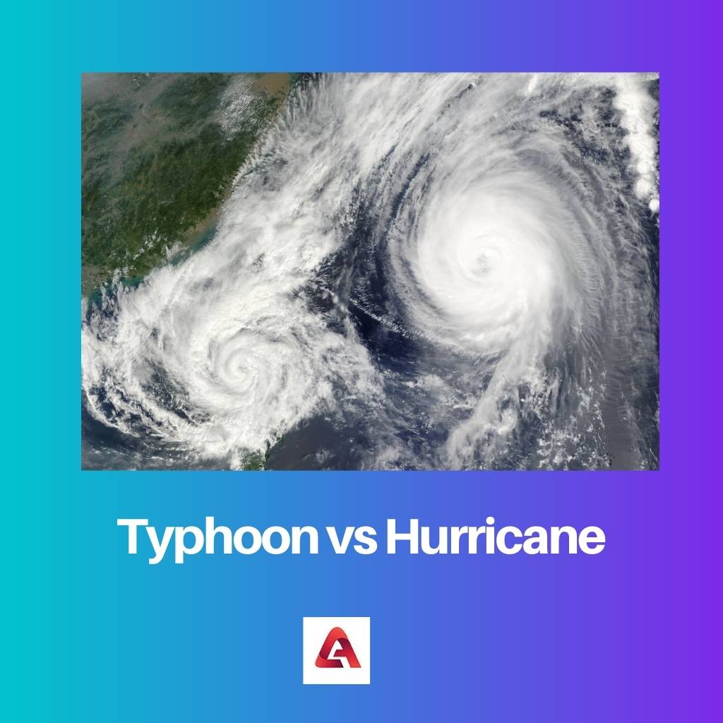 Typhoon vs Hurricane