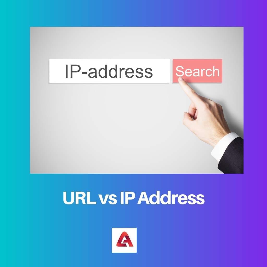 URL vs IP Address