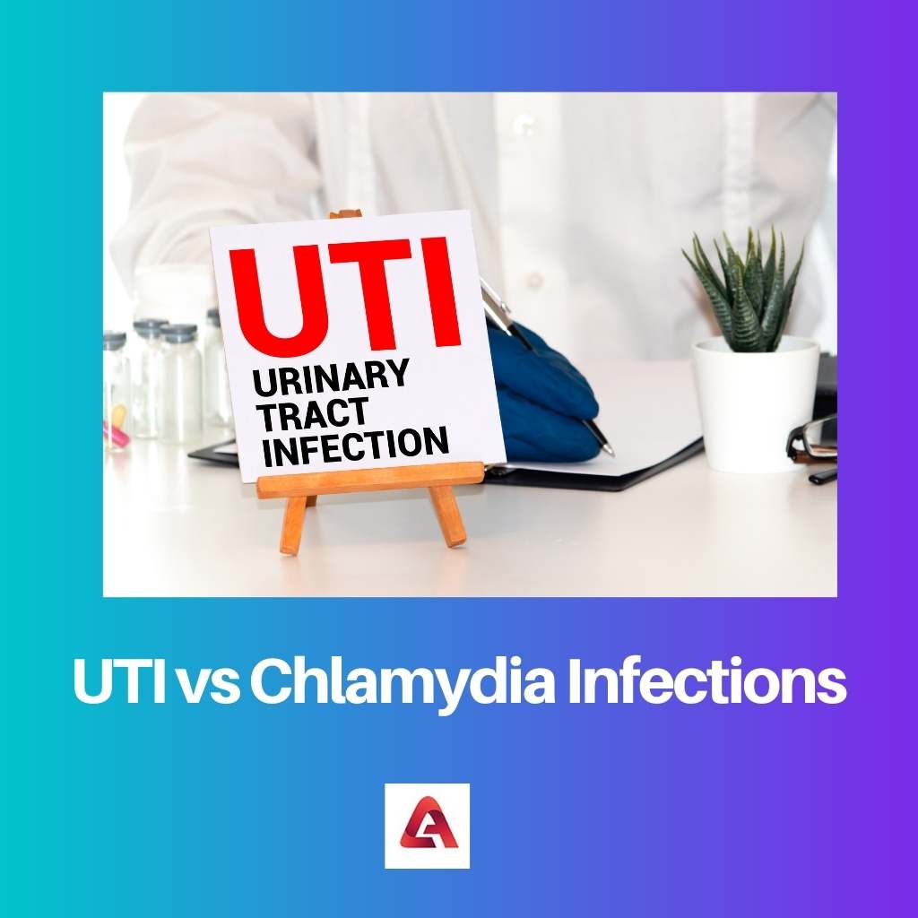 UTI vs Chlamydia Infections