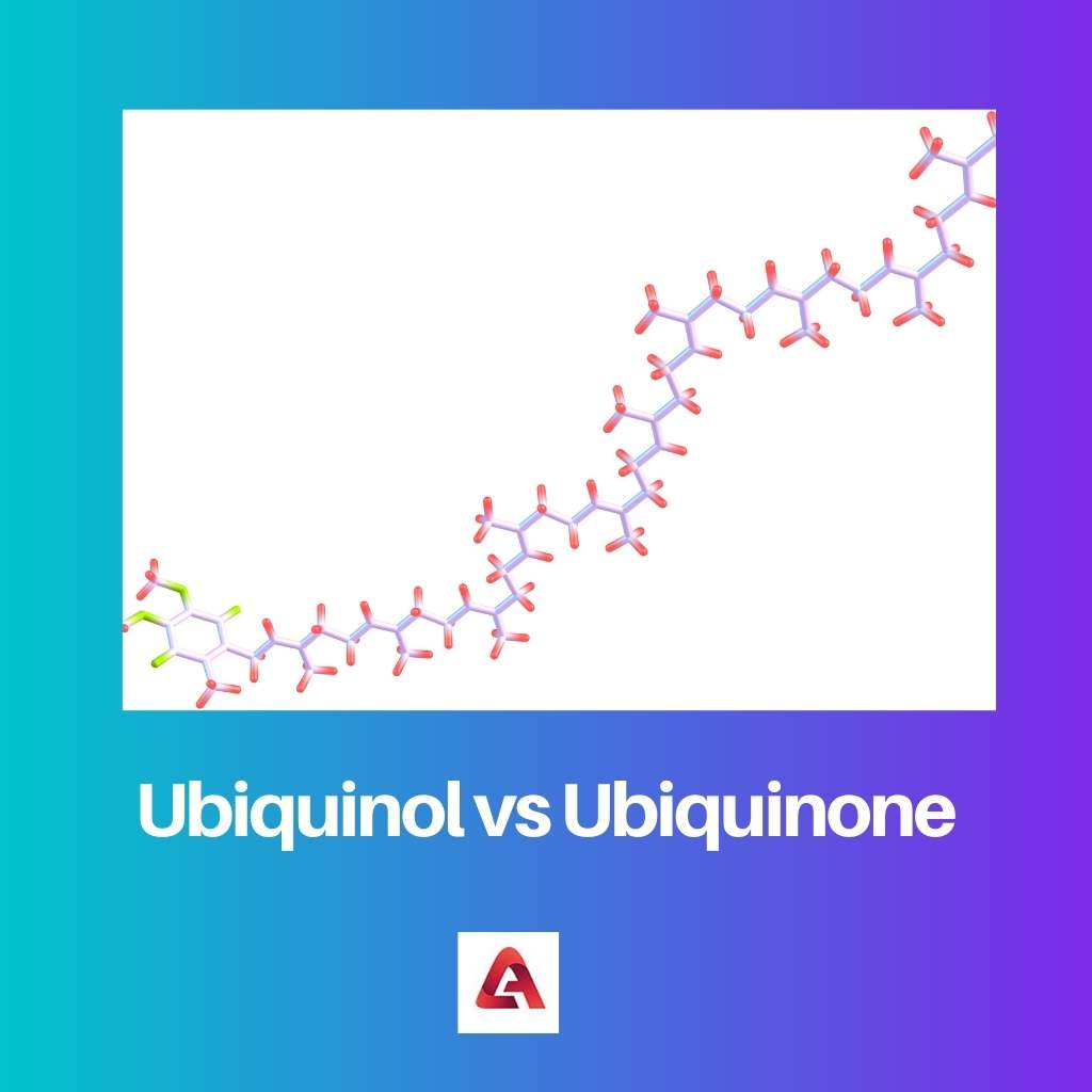 Ubiquinol vs Ubiquinone