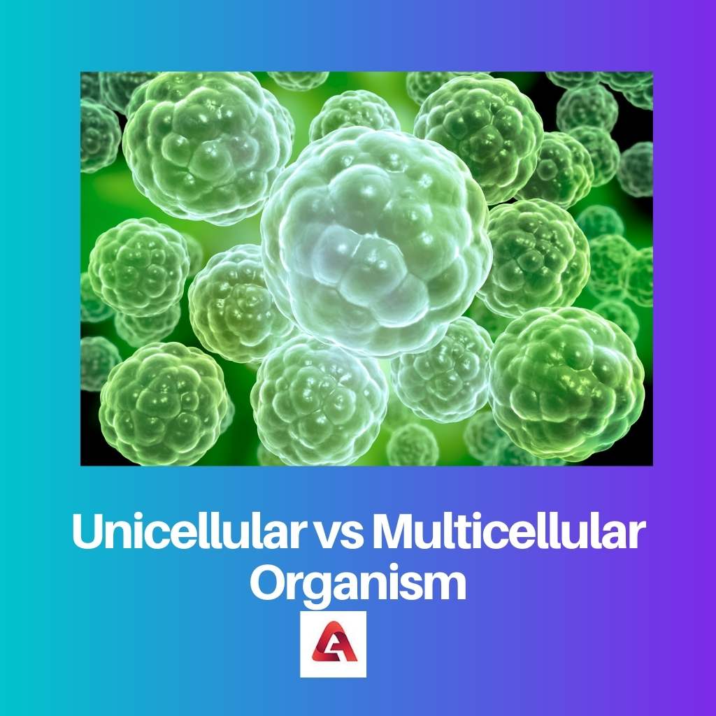 Unicellular vs Multicellular Organism