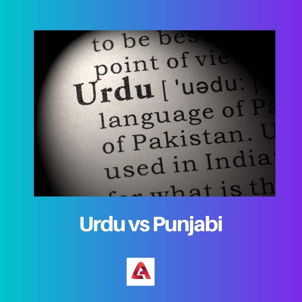 Urdu vs Punjabi