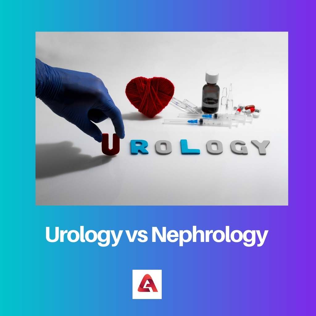 Urology vs Nephrology