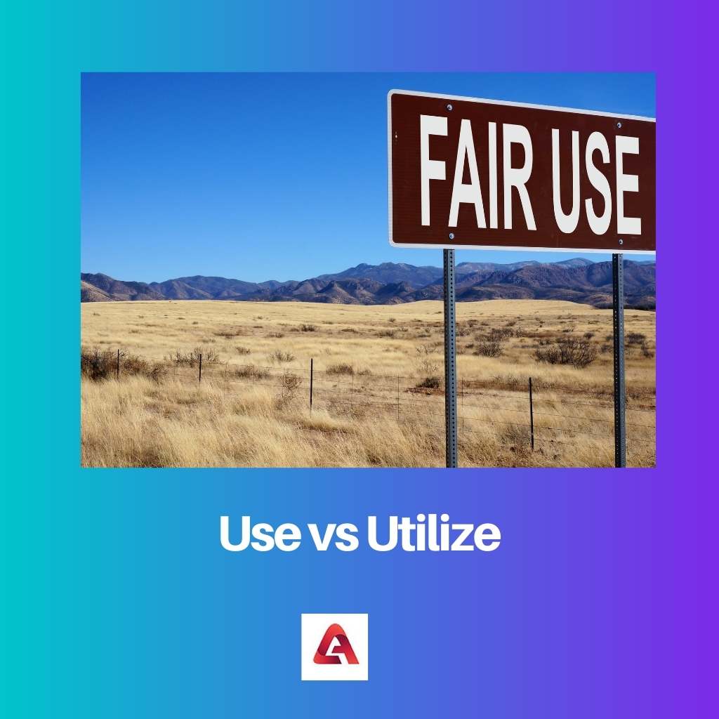Use vs Utilize