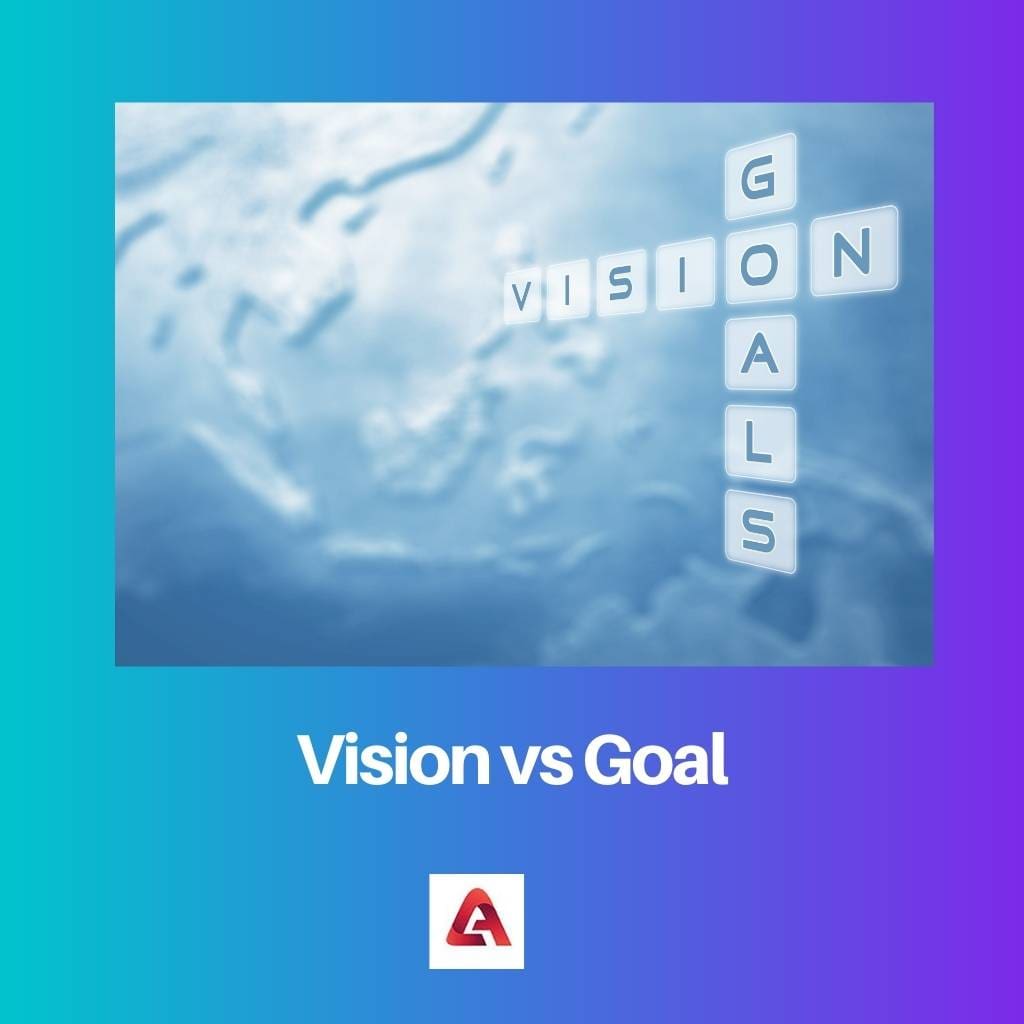 Vision vs Goal