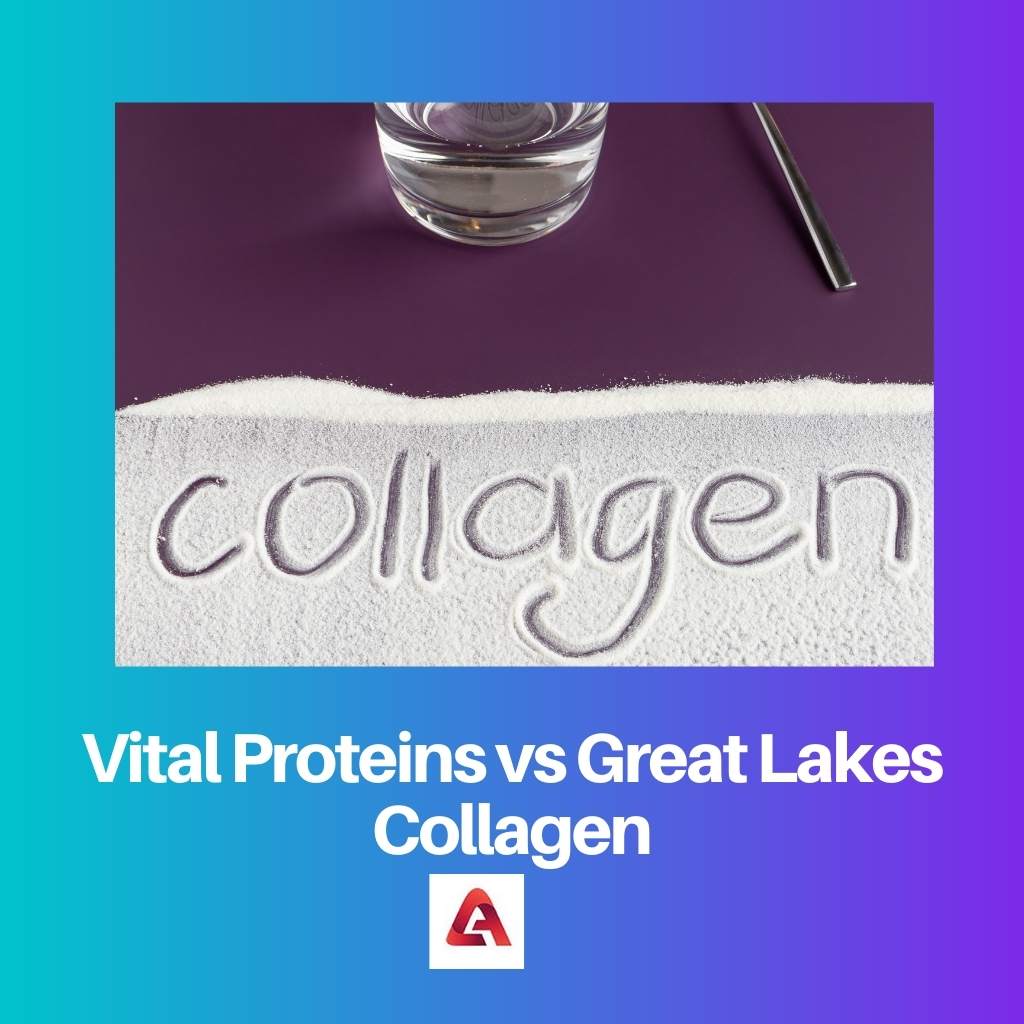 Vital Proteins vs Great Lakes Collagen