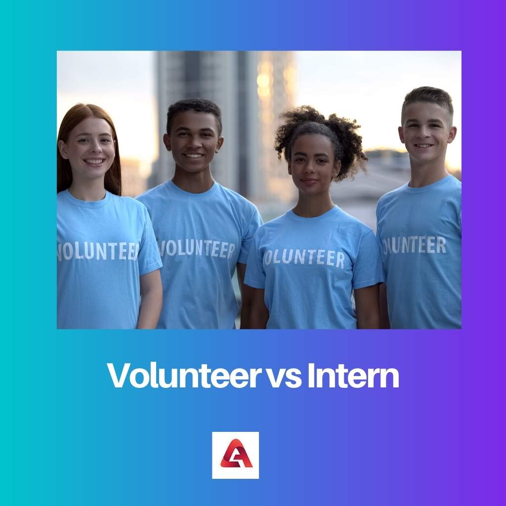 Volunteer vs Intern