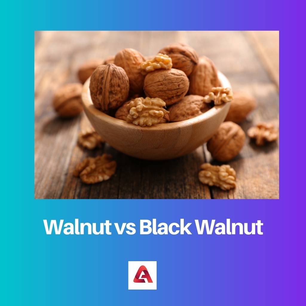 Walnut vs Black Walnut