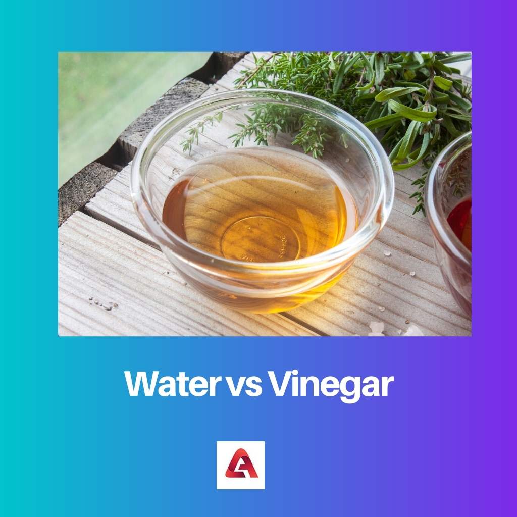 Water vs Vinegar