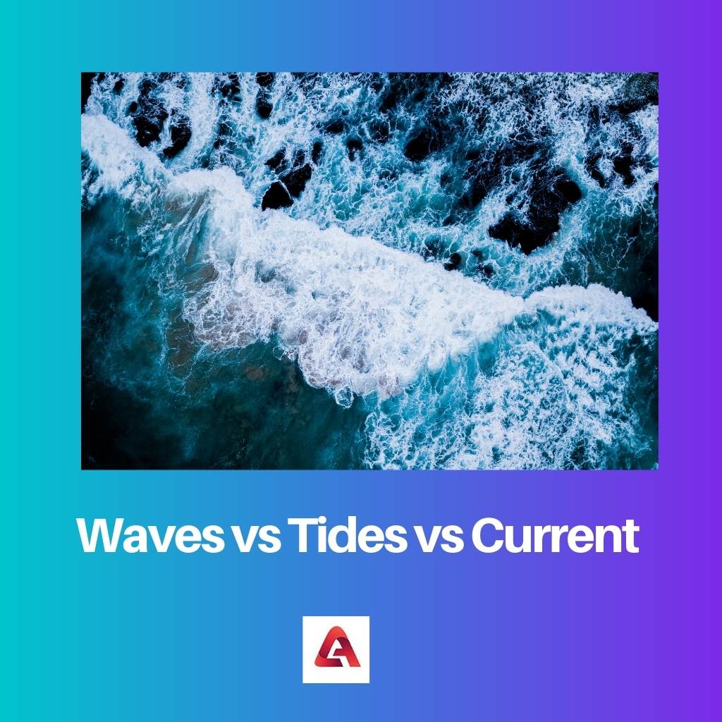 Waves vs Tides vs Current 1