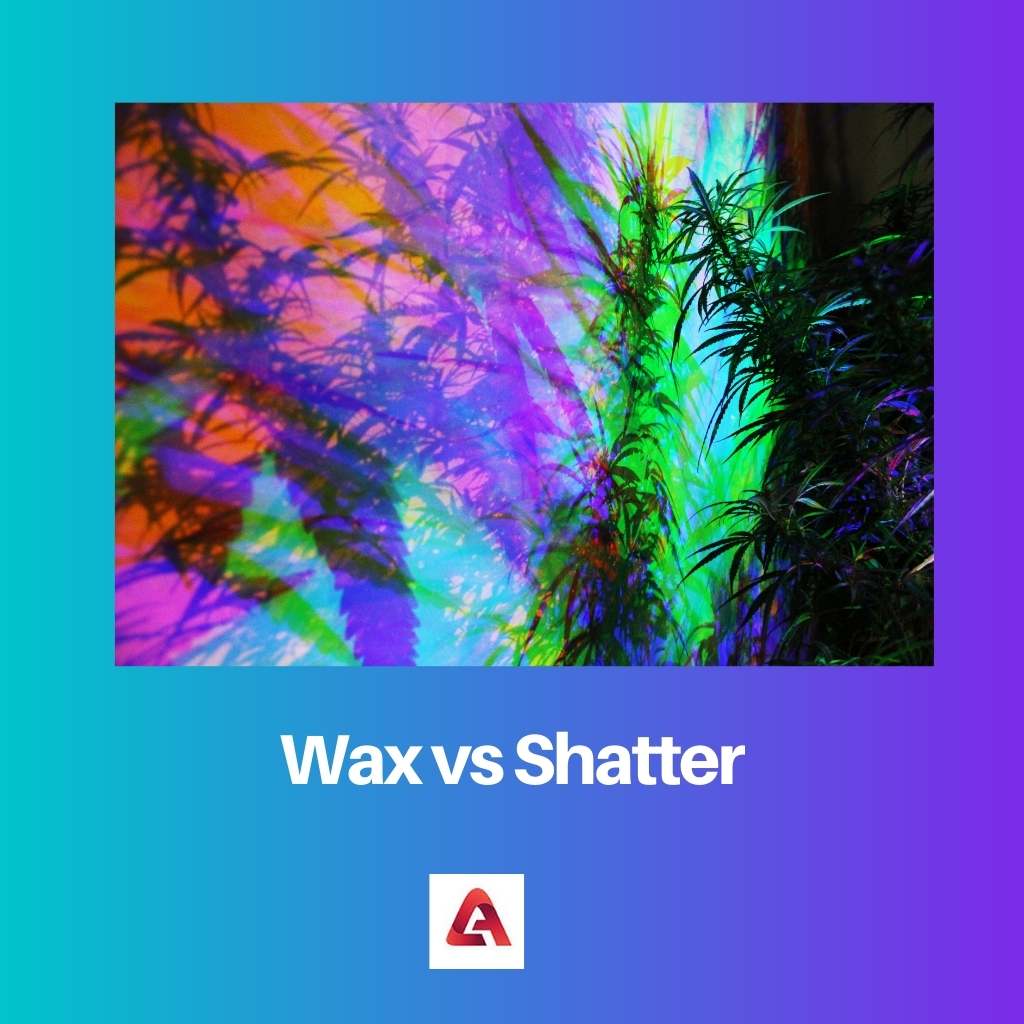 Wax vs Shatter
