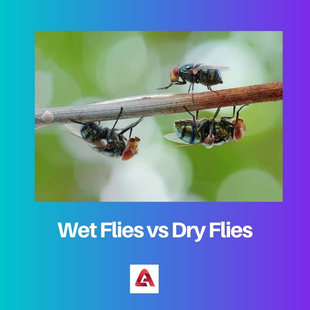 Wet Flies vs Dry Flies
