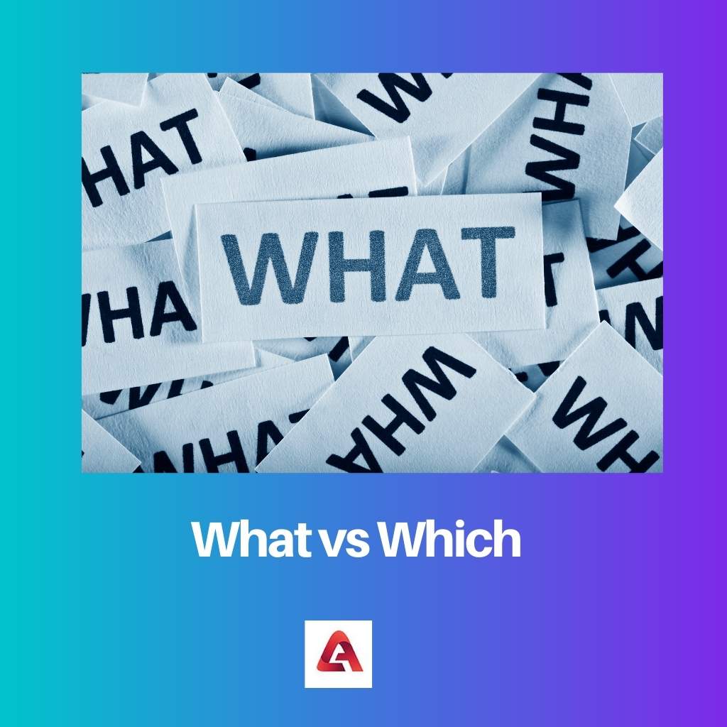 What vs Which
