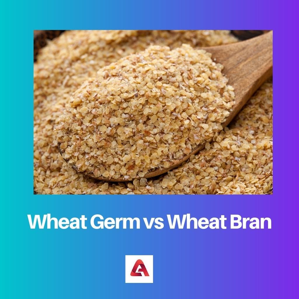 Wheat Germ vs Wheat Bran