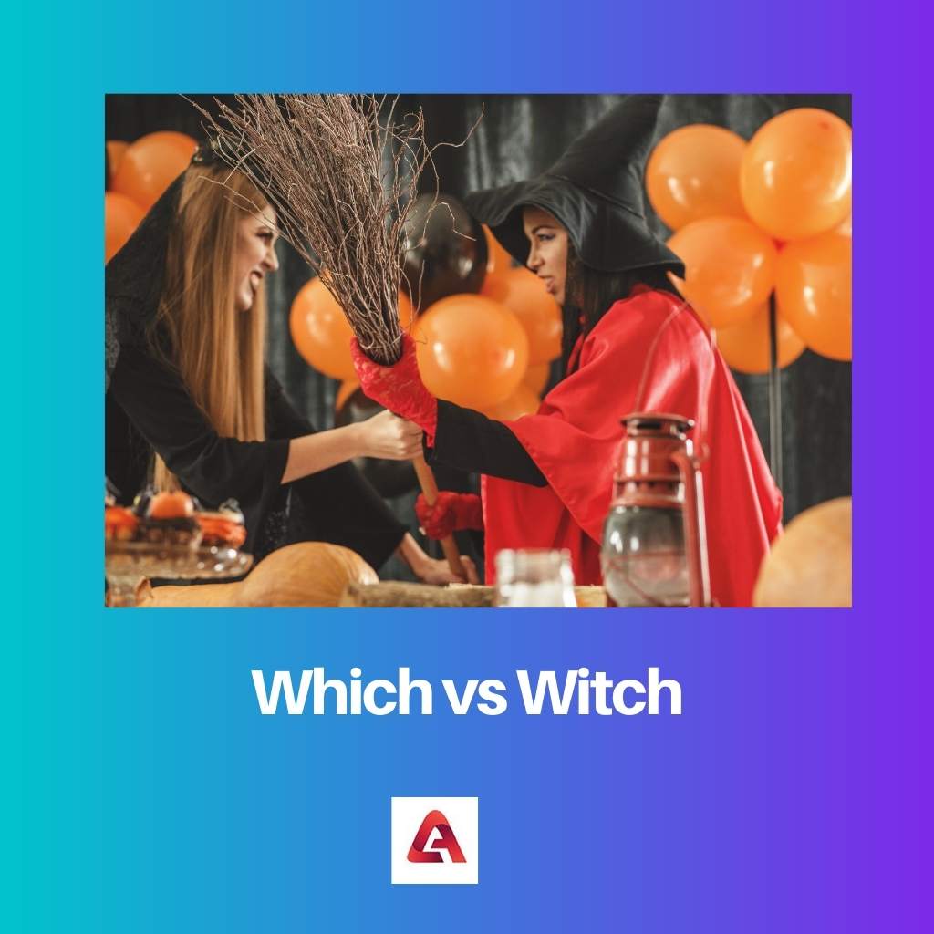 Which vs Witch
