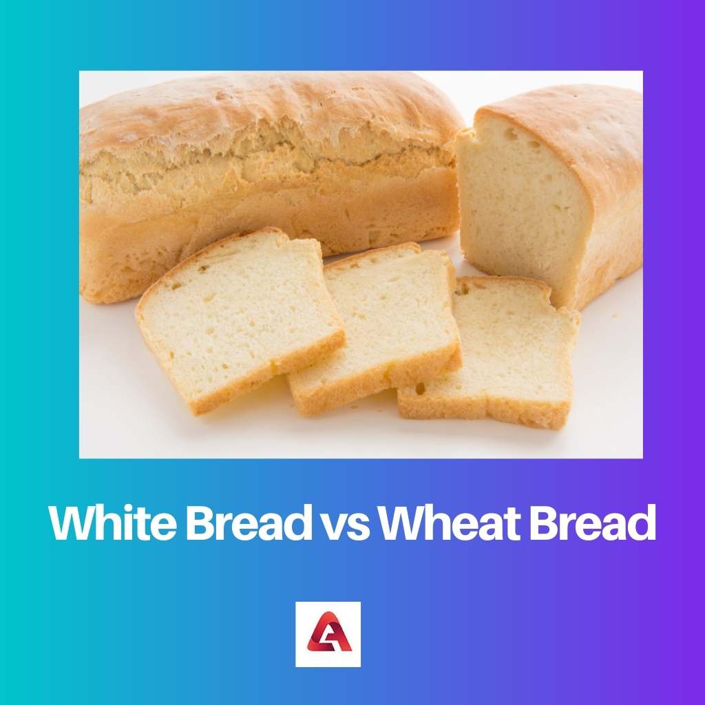 White Bread vs Wheat Bread