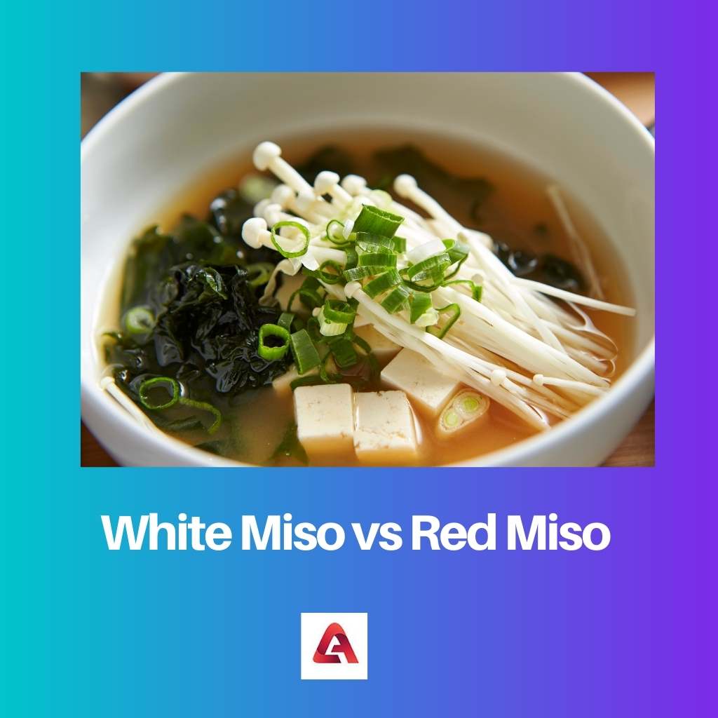 White Miso vs Red Miso