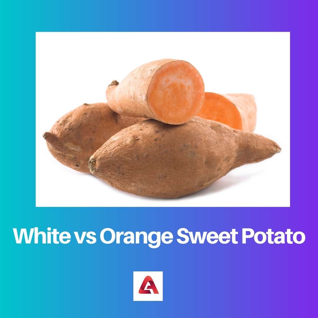 White vs Orange Sweet Potato
