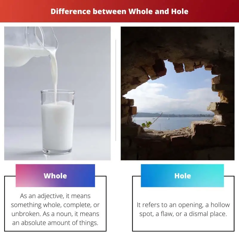 Whole vs Hole – What are the differences