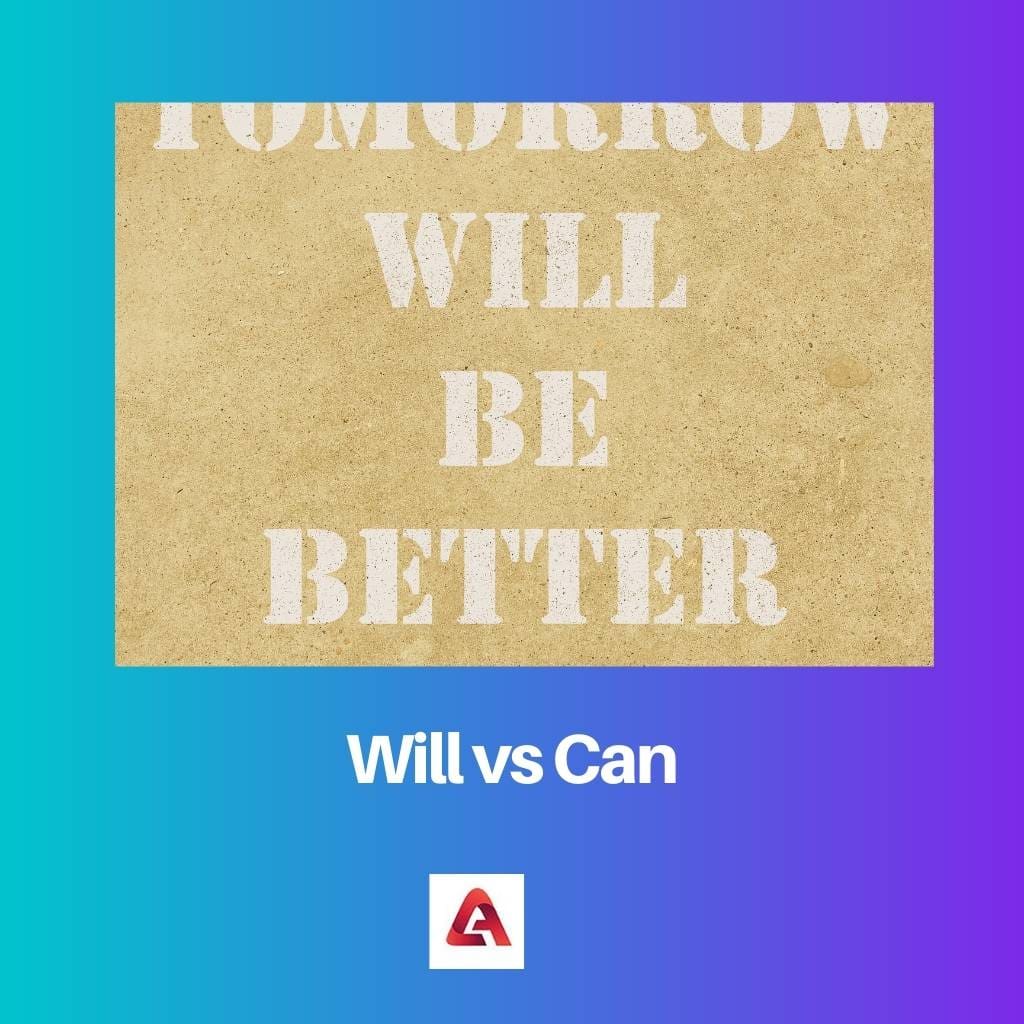 Will vs Can